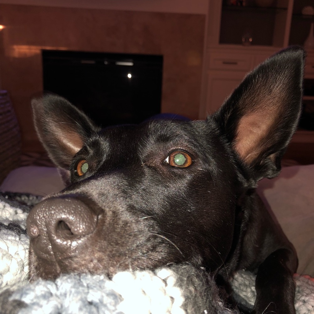 Meet your Posher, Brooke